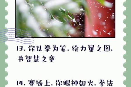 揭示时柱癸卯女命的力量与智慧，探寻人生的奥秘与方向