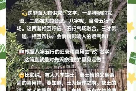 2019年五行命运解析：如何抓住机遇，改变人生轨迹？