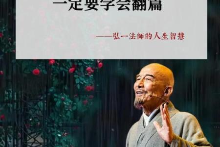 属猪人士的47岁命运：智慧与宁静的生活哲学