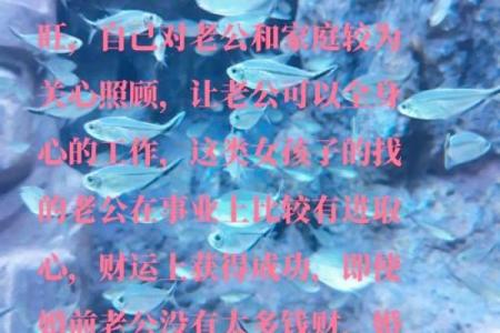 偏官在男命中的象征与影响探究