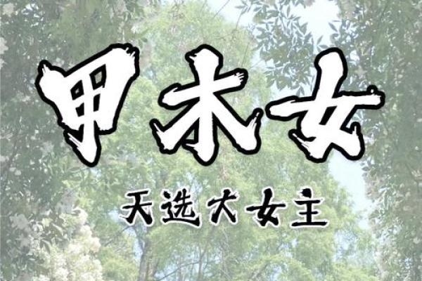 揭开“带两甲”的神秘面纱:女命命格解析与人生启示 揭开“带两甲”的神秘面纱:女命命格解析与人生启示