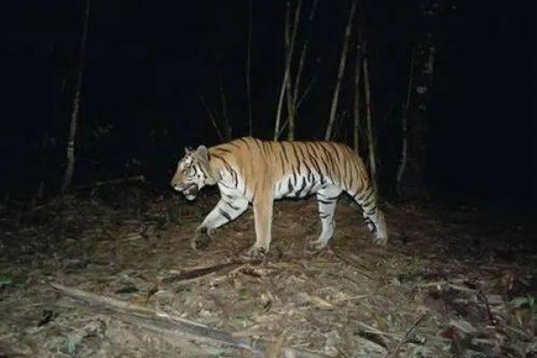 命运的深渊：揭示人生可能的悲惨境地与如何自救