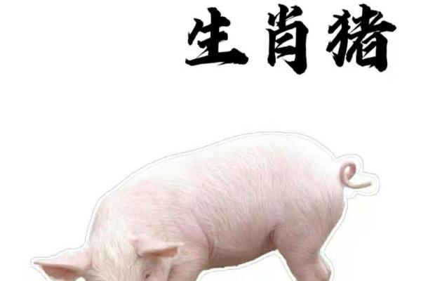 生肖猪39岁后的命运转折与发展机遇