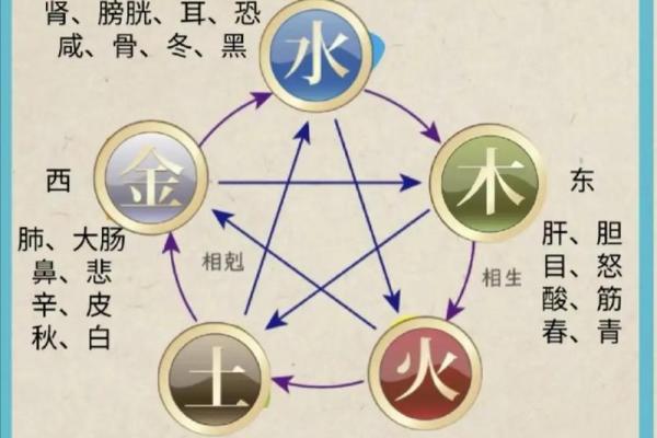 属鸡人的五行命理解析：解读不同年份的秘密与人生方向