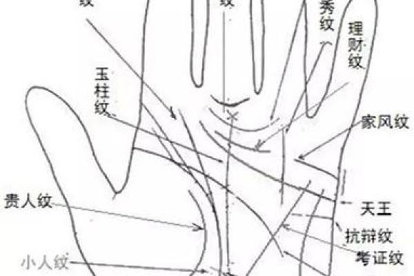 女人手相五个斗：揭示命运的神秘符号