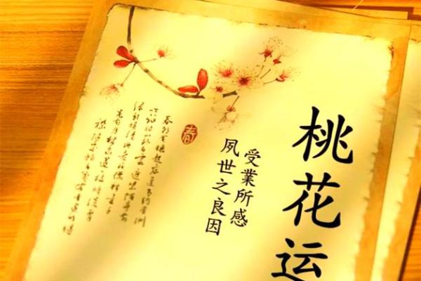 命犯桃花：探讨桃花运的真实含义与影响
