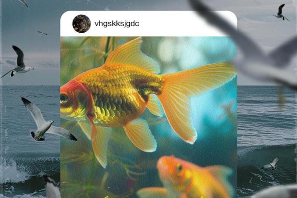 身命无常:生活的脆弱与珍贵 身命无常:生活的脆弱与珍贵