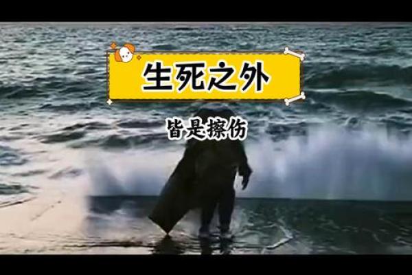 身命无常:生活的脆弱与珍贵 身命无常:生活的脆弱与珍贵