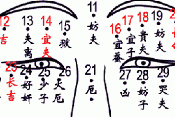 揭示农历二月出生女人的命运与特色，展现其独特魅力与人生轨迹