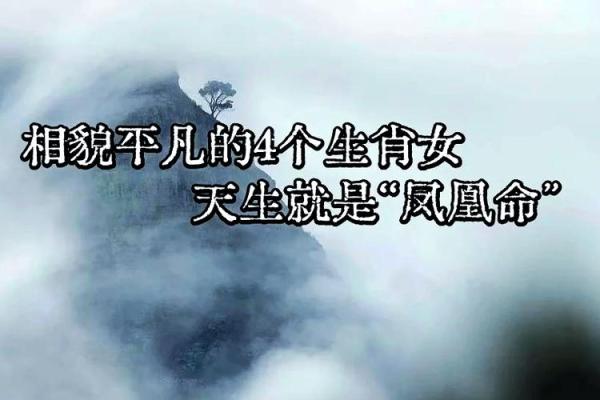 揭秘天生凤凰命：转运与重生的神秘之路