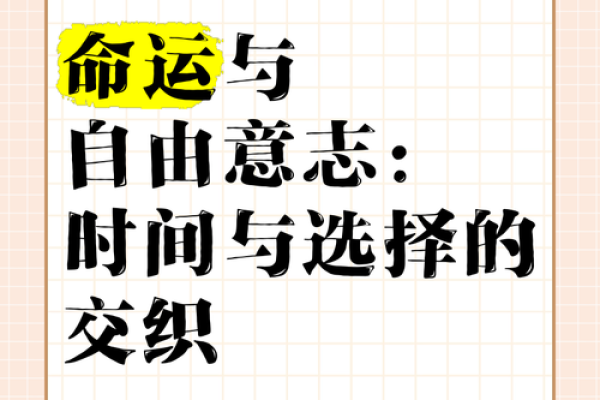 世上哪有这样命：探索人生中的命运与选择的交织之旅