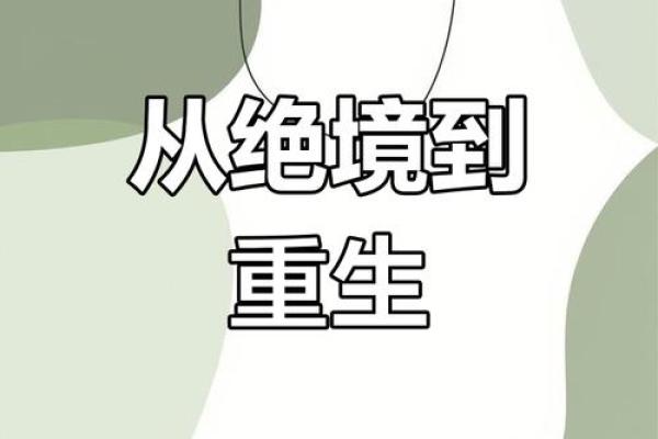 受气命的悲欢离合：如何走出困境，迎接新生