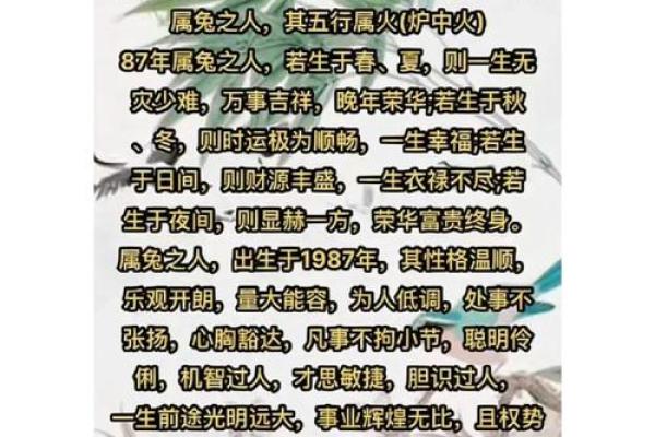 属兔的命运探秘：为什么兔宝宝命不好？看这几点！