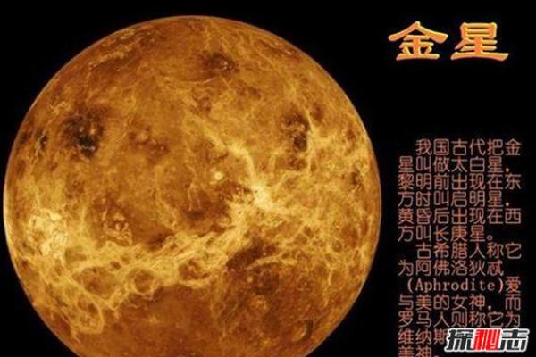 揭秘高命天子命格男：他们背后的力量与魅力