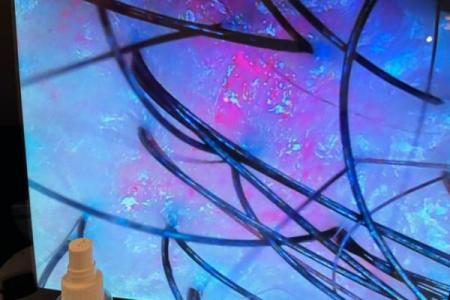 什么颜色的头皮命好，揭秘头皮颜色与运势的微妙关系！