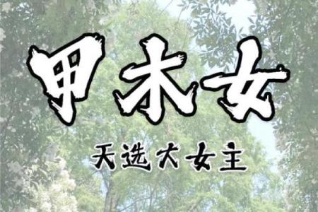 揭开“带两甲”的神秘面纱：女命命格解析与人生启示