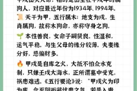 属狗山头火命的特点与命理解析