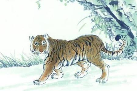 深入剖析属虎大溪水命缺乏的要素及其影响