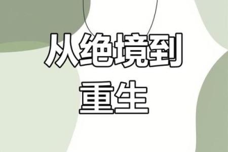 受气命的悲欢离合：如何走出困境，迎接新生