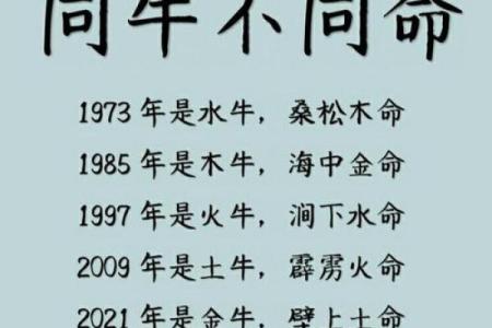 73年属牛的人命运分析：他们的性格、优势与挑战