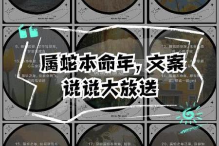 七十岁属蛇男命运解析：智慧与机遇的交融之路