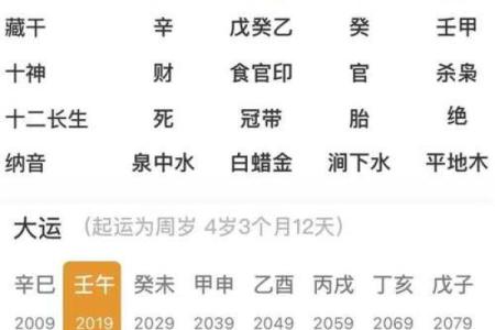 壬午月丙子日壬辰时的命理解析与生活启示