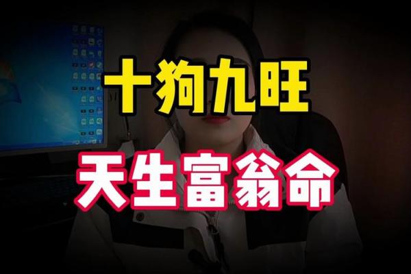 属狗人在什么年生宝宝命好？命理解析与最佳选择