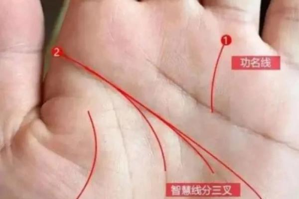 手相揭秘：从掌纹看出你的命运与性格奥秘