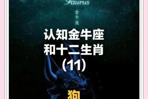 属狗人36岁命运解析:事业爱情双丰收的秘密 属狗人36岁命运解析:事业爱情双丰收的秘密