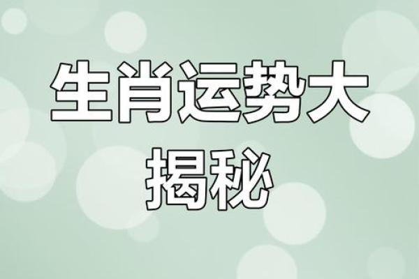 属狗之人的最佳命运：41岁如何迎接人生巅峰