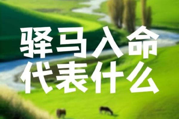 女命财临驿马星：探索命理与人生转机的奥秘