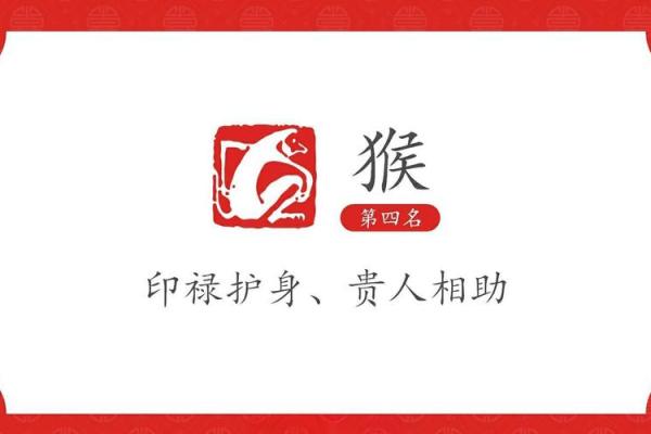 属猴者:30岁命运分析与人生启示! 属猴者:30岁命运分析与人生启示!