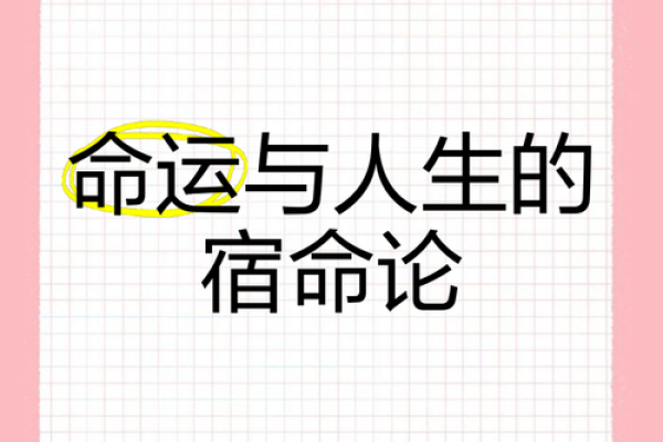 富贵命与享福命：命运的奥秘与人生的选择