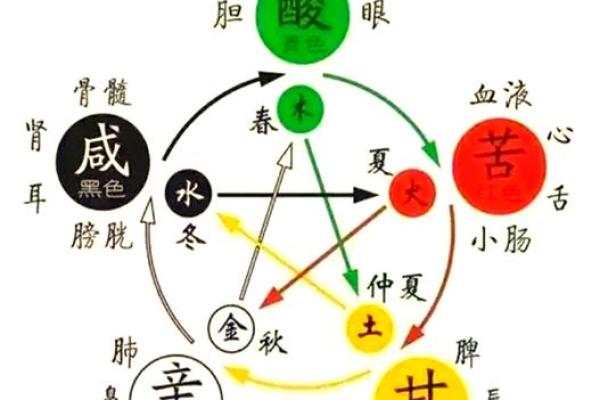 缺金生肖命理解析：如何通过命理调和金元素