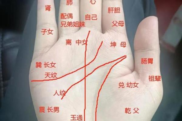 什么样的手指才是富贵命?浅谈手相与财富的关系 什么样的手指才是富贵命?浅谈手相与财富的关系