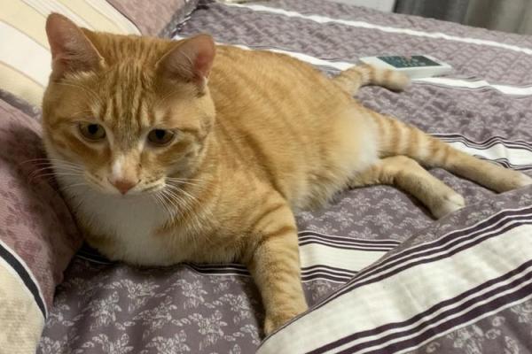 人为什么会有“三条腿”的命？看似荒唐的说法背后隐藏的深意！