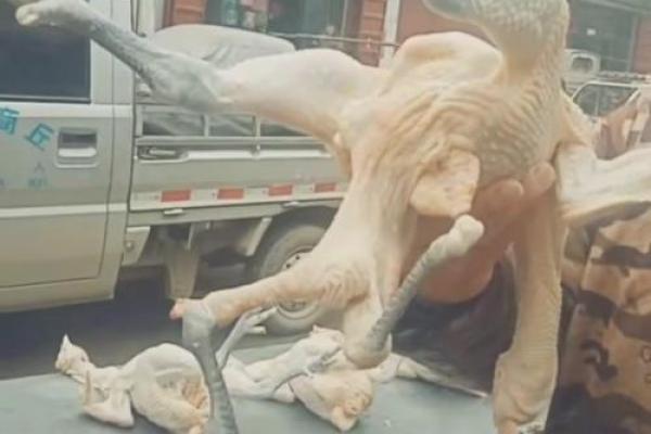 人为什么会有“三条腿”的命？看似荒唐的说法背后隐藏的深意！