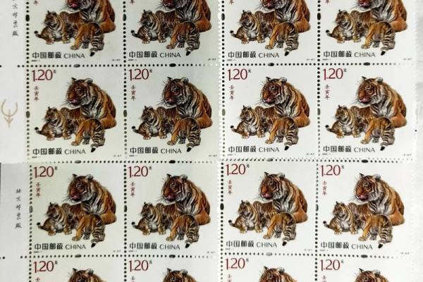 壬寅年：探寻水与虎的神秘命运象征