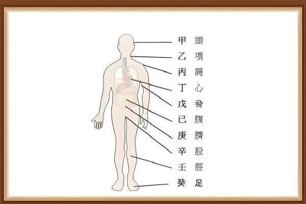 三月初七的五行命理解析：你的人生密码在此揭晓！
