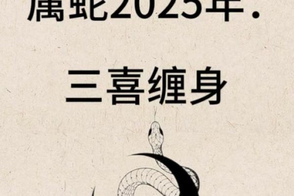 揭秘蛇命理:蛇年男性的性格与命格解读 揭秘蛇命理:蛇年男性的性格与命格解读