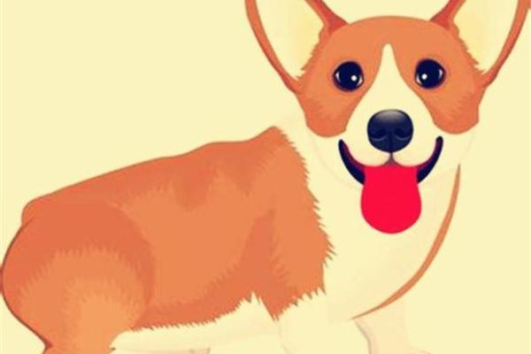 属狗生肖五行解析：了解你的命格与人生航向