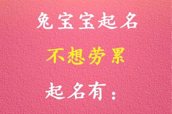 什么样的父母能生出命好的兔宝宝？探寻兔宝宝的命运之路！