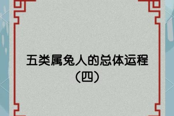 女兔六月初六属狗：命理解析与人生指南