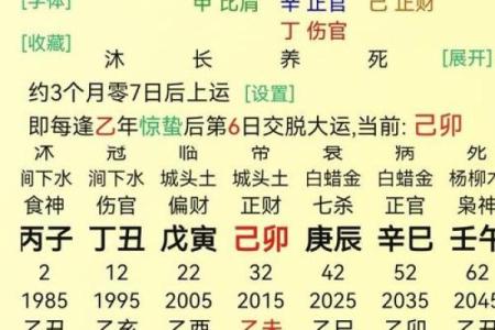 揭开命理之谜：壬午、丁末、甲午、庚午命的奥秘与影响