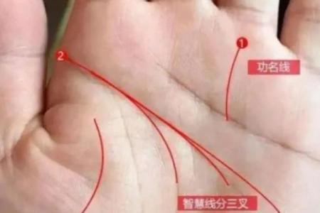 手相揭秘：从掌纹看出你的命运与性格奥秘