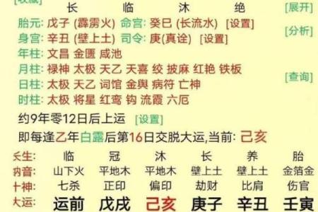 揭秘八字命理：那些注定没有儿子的命格与应对之策