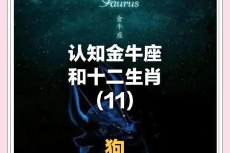 属狗人36岁命运解析：事业爱情双丰收的秘密