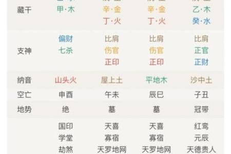 青龙命格的神秘与智慧：揭开命理学的面纱