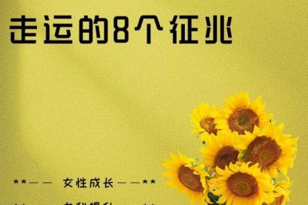 十二星座女性的未来命运探秘：星辰引领人生路