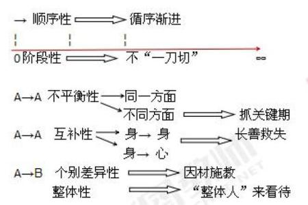 缺木五行命理解析：生命中的不平衡与平衡之道